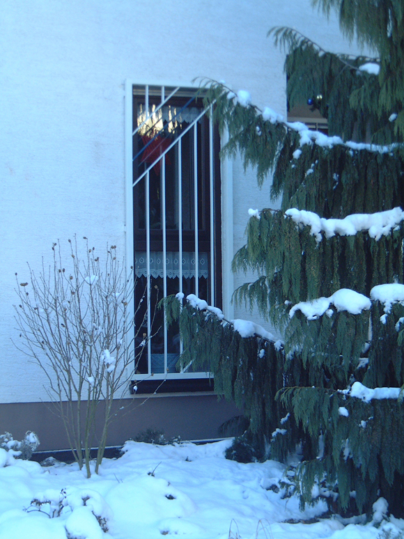 Kompetenzen/Rund ums Haus - Metallbau Geiss - Fenstergitter
